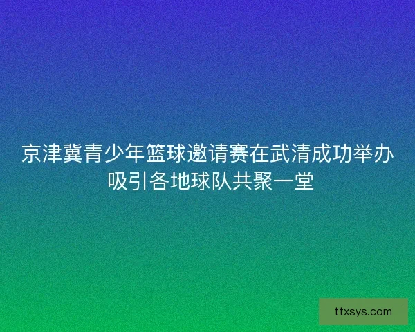 京津冀青少年篮球邀请赛在武清成功举办 吸引各地球队共聚一堂